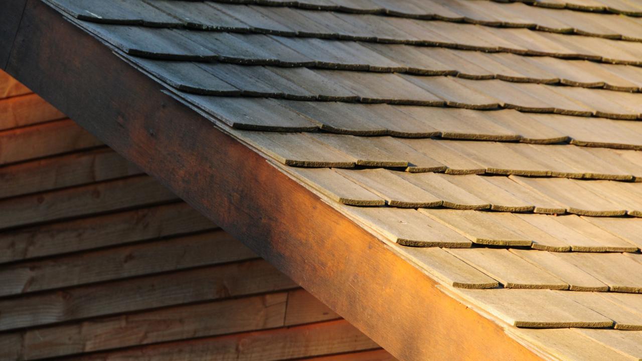 Roof shingles